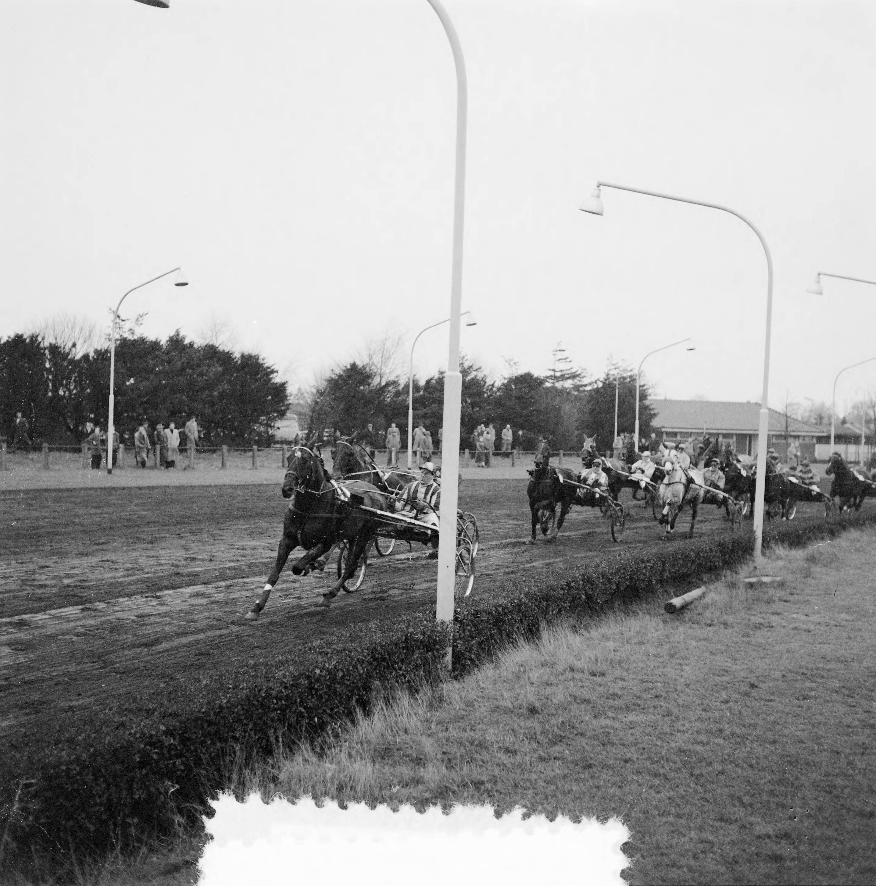 Fotocollectie Anefo — Draverijen te Hilversum om Grote Kerstprijs — Foto: Behrens, Herbert F. / Anefo. Licentie: Set B: Rechtenvrij / Publiek Domein. Bron: Nationaal Archief. http://hdl.handle.net/10648/a940e0dc-d0b4-102d-bcf8-003048976d84