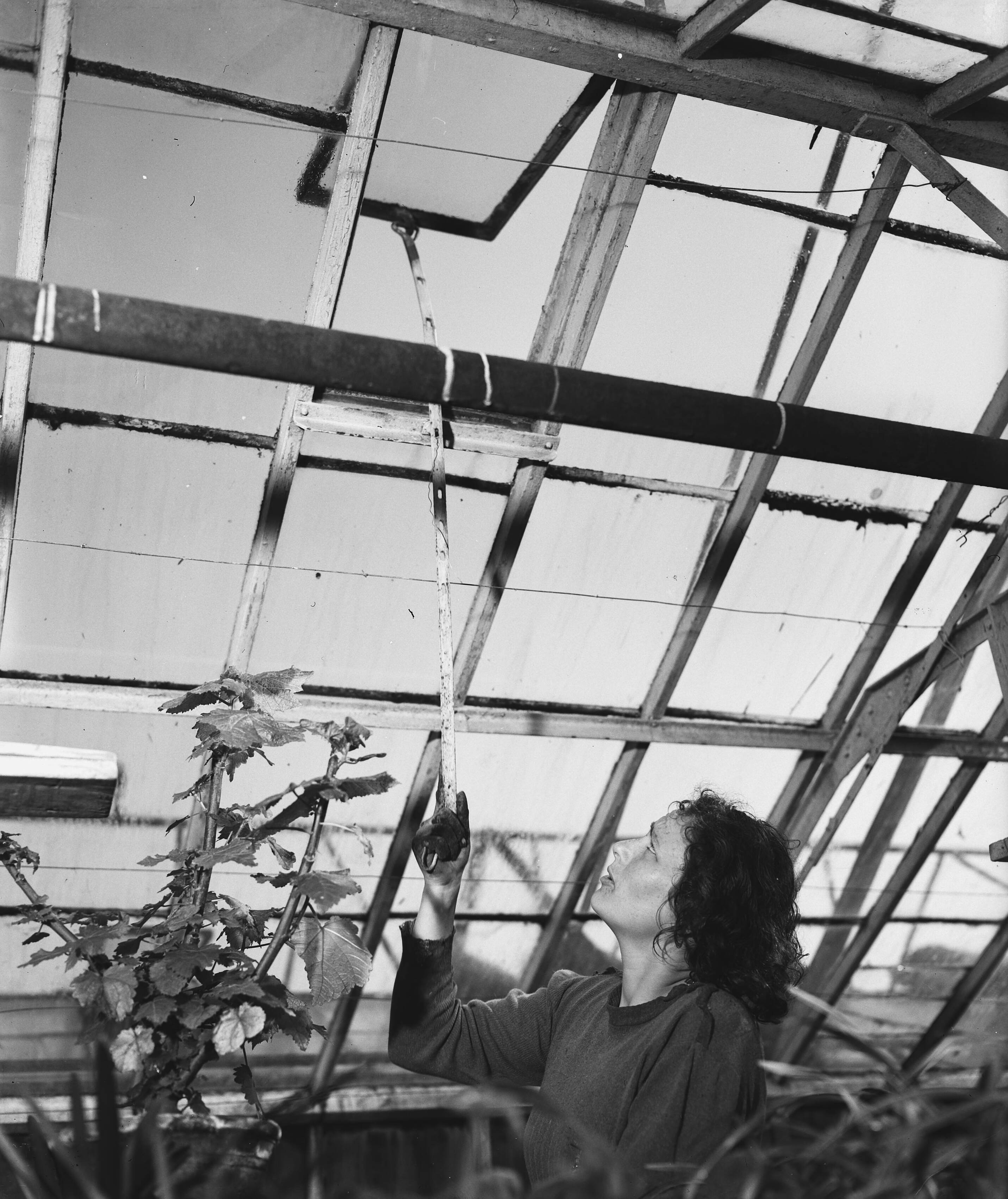 Fotocollectie Anefo — Tuinbouwschool "Huize te Lande" te Rijswijk — Foto: Raucamp, Koos / Anefo. Licentie: Set B: Rechtenvrij / Publiek Domein. Bron: Nationaal Archief. http://hdl.handle.net/10648/a89b4bae-d0b4-102d-bcf8-003048976d84