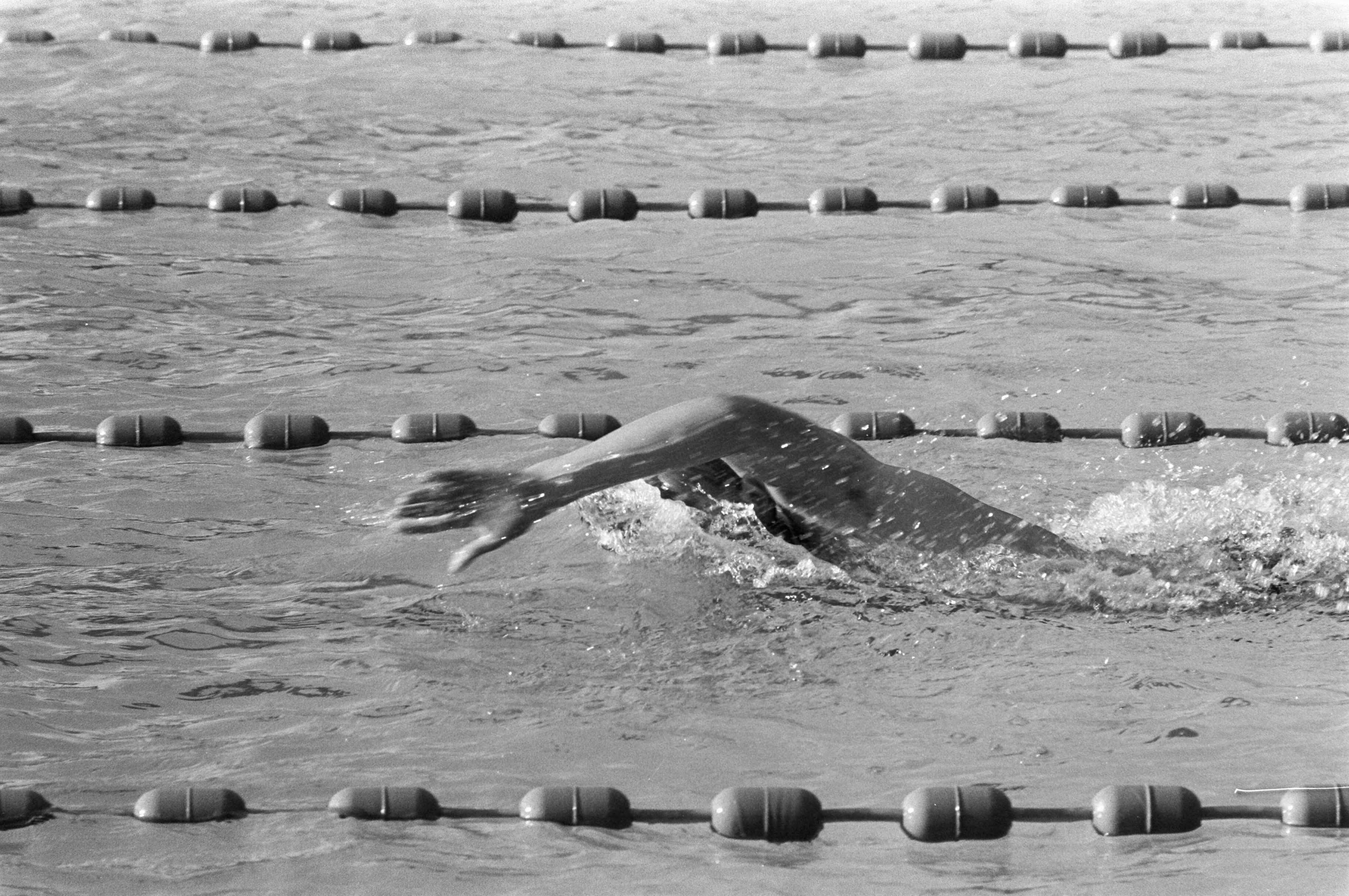 Fotocollectie Anefo — Nationale kampioenschappen zwemmen, Leeuwarden — Foto: Verhoeff, Bert / Anefo. Licentie: Set B: Rechtenvrij / Publiek Domein. Bron: Nationaal Archief. http://hdl.handle.net/10648/ab9cdc6e-d0b4-102d-bcf8-003048976d84
