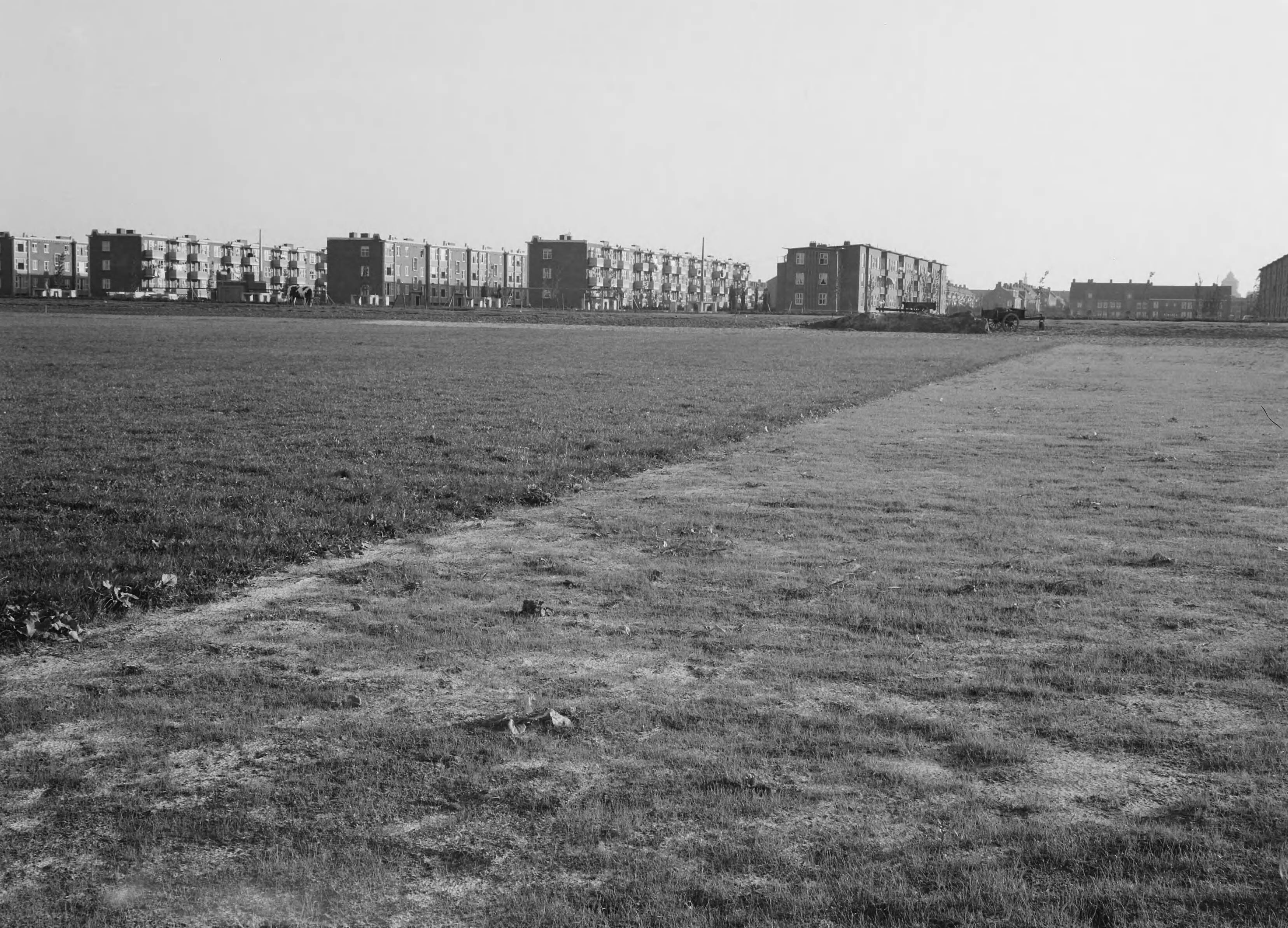 Fotocollectie Nederlandse Heidemaatschappij — Ingezaaid en met zoden gelegd gras. Sportvelden gem. Groningen — Foto: Nijhof, [...] / Heidemij. Licentie: Set B: Rechtenvrij / Publiek Domein. Bron: Nationaal Archief. http://hdl.handle.net/10648/ae6bd27e-d0b4-102d-bcf8-003048976d84