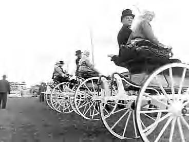 Fotocollectie Anefo — Concours hippique te Leeuwarden — Foto: Noske, J.D. / Anefo. Licentie: Set B: Rechtenvrij / Publiek Domein. Bron: Nationaal Archief. http://hdl.handle.net/10648/a9667478-d0b4-102d-bcf8-003048976d84
