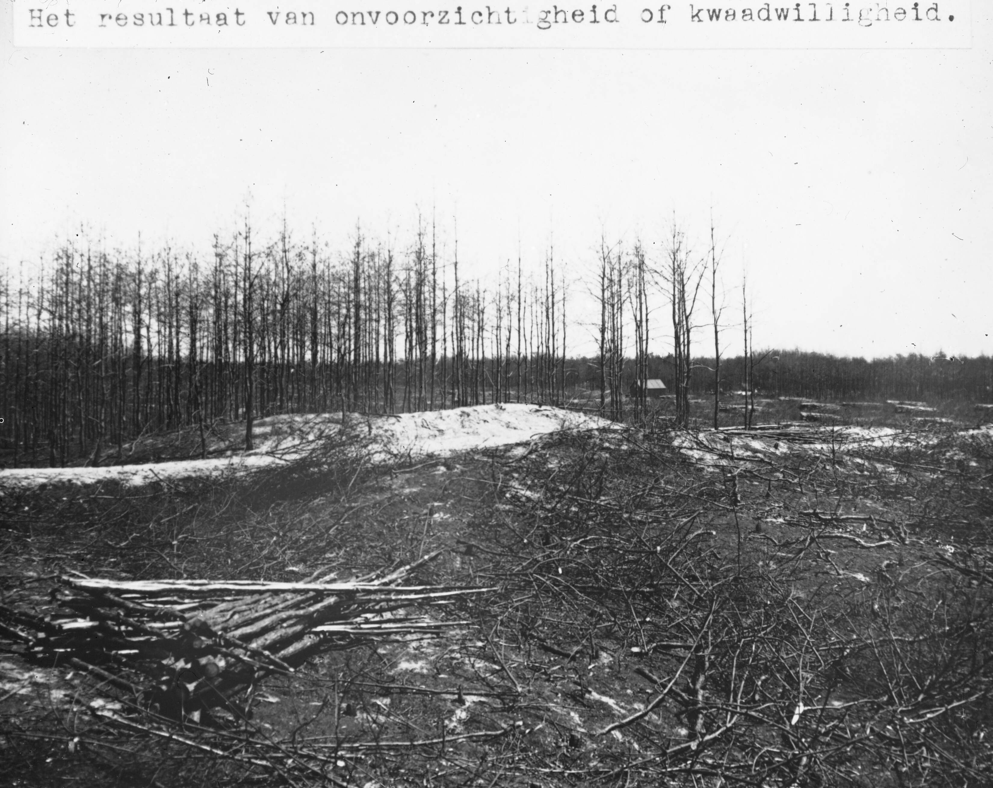 Fotocollectie Nederlandse Heidemaatschappij — Bijschrift "Het resultaat van onvoorzichtigheid of kwaadwilligheid". Terrein na bosbrand in het Loosbos bij Eygelshoven — Foto: Fotograaf Onbekend / Heidemij. Licentie: Set B: Rechtenvrij / Publiek Domein. Bron: Nationaal Archief. http://hdl.handle.net/10648/ae45e2bc-d0b4-102d-bcf8-003048976d84