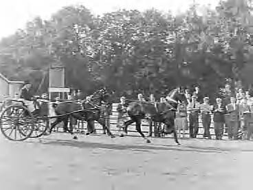 Fotocollectie Anefo — Concours hippique in Groningen — Foto: Bilsen, Joop van / Anefo. Licentie: Set B: Rechtenvrij / Publiek Domein. Bron: Nationaal Archief. http://hdl.handle.net/10648/a9834a6c-d0b4-102d-bcf8-003048976d84