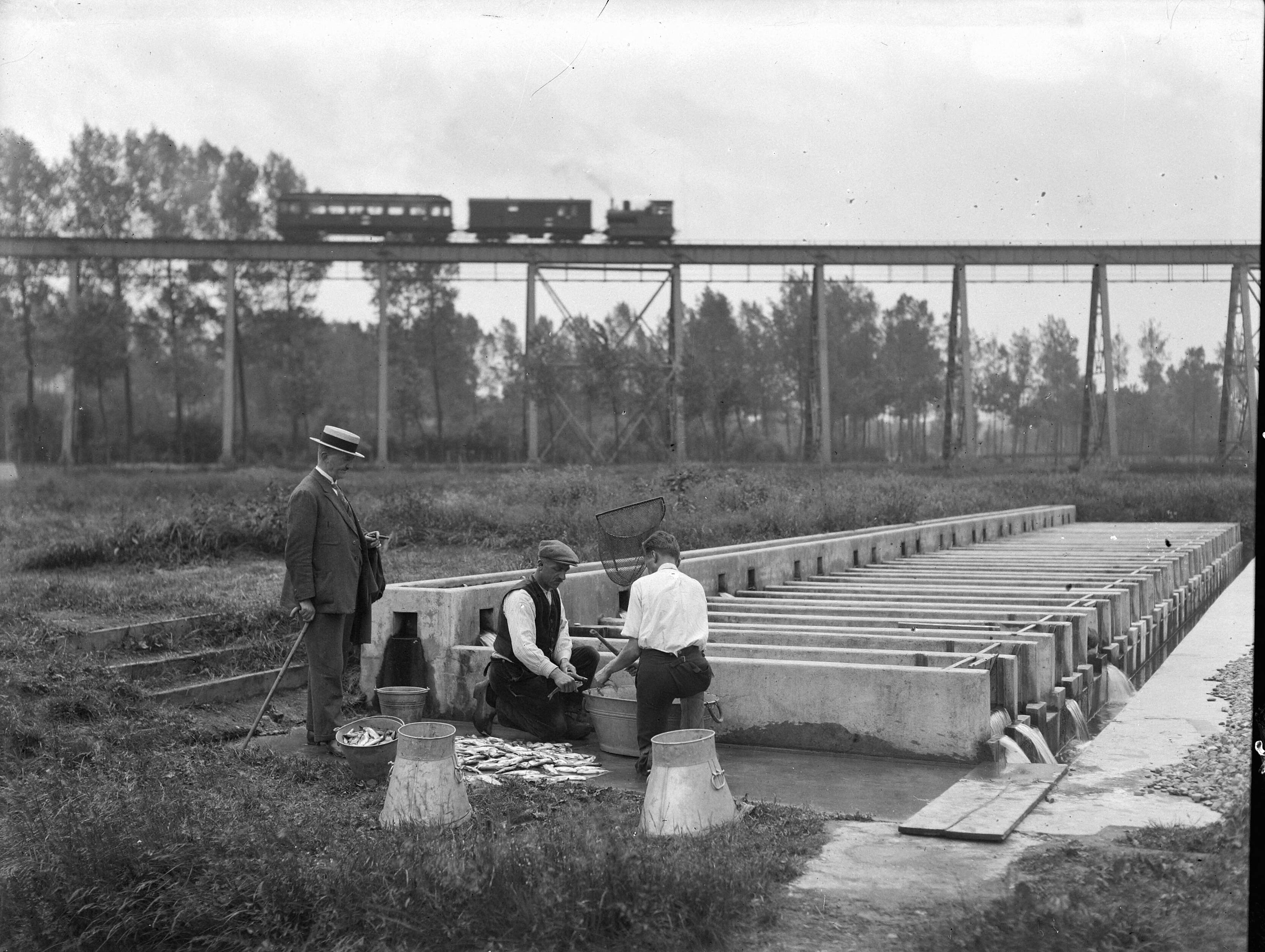 Fotocollectie Nederlandse Heidemaatschappij — Gulpen|kwekerij — Foto: Fotograaf Onbekend / Heidemij. Licentie: Set B: Rechtenvrij / Publiek Domein. Bron: Nationaal Archief. http://hdl.handle.net/10648/ae40e7c6-d0b4-102d-bcf8-003048976d84