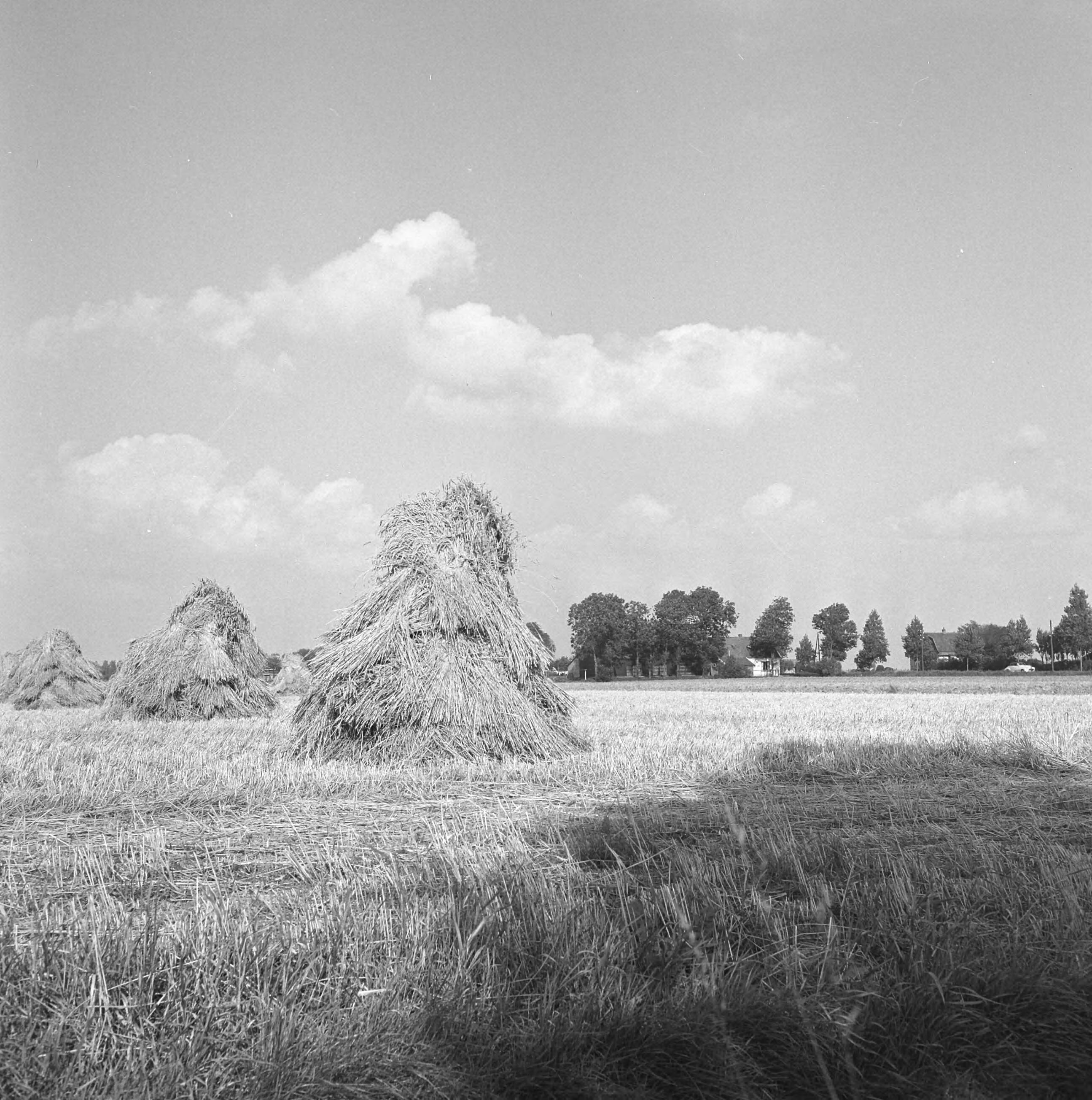 Fotocollectie Nederlandse Heidemaatschappij — Gezicht op Leimuiden — Foto: Eyssen, [...] / Heidemij. Licentie: Set B: Rechtenvrij / Publiek Domein. Bron: Nationaal Archief. http://hdl.handle.net/10648/ae7baf82-d0b4-102d-bcf8-003048976d84