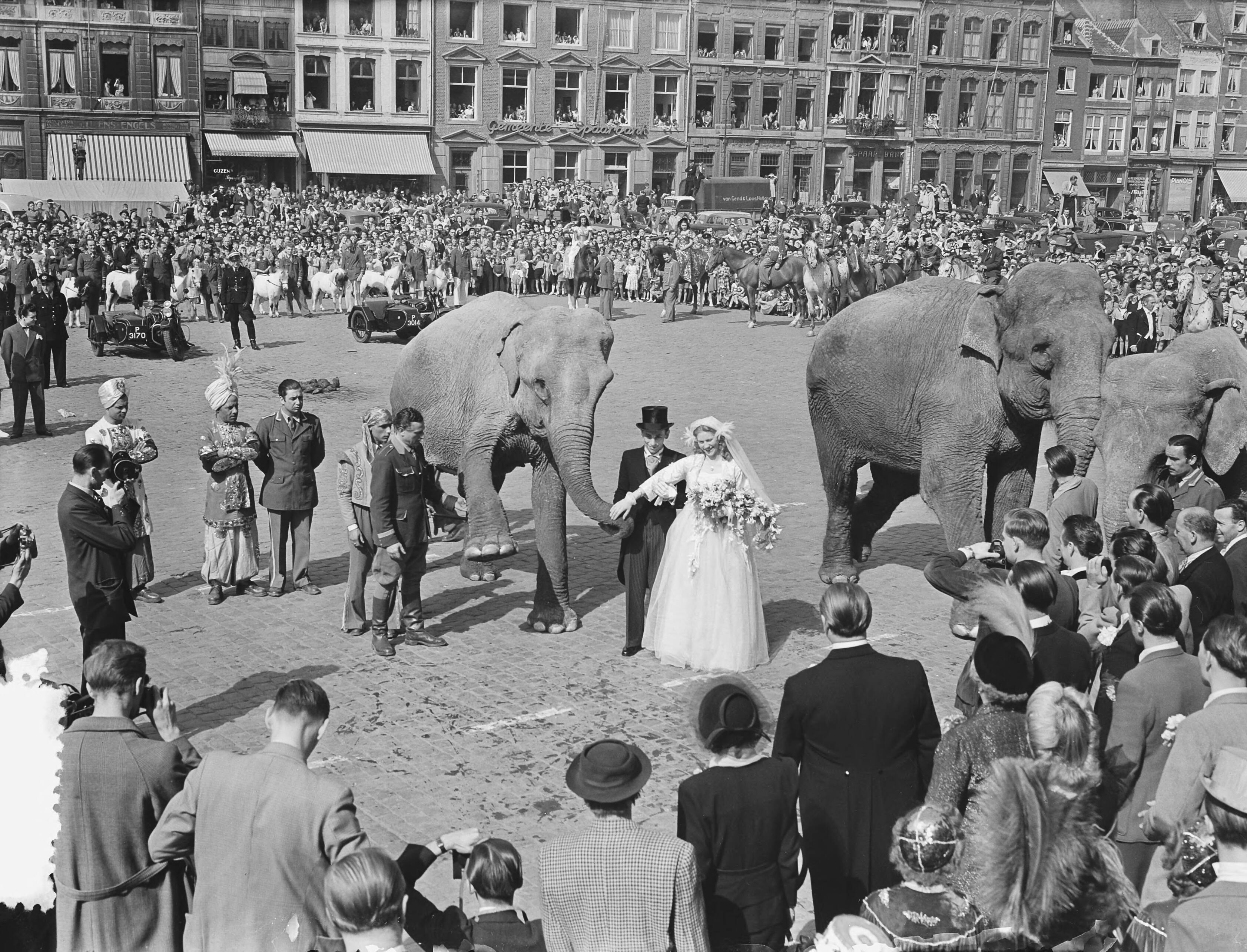 Fotocollectie Anefo — Circus-huwelijk te Maastricht, José Mullens werd de vrouw van Henry Strassburger. — Foto: Pot, Harry / Anefo. Licentie: Set B: Rechtenvrij / Publiek Domein. Bron: Nationaal Archief. http://hdl.handle.net/10648/a8f8180c-d0b4-102d-bcf8-003048976d84
