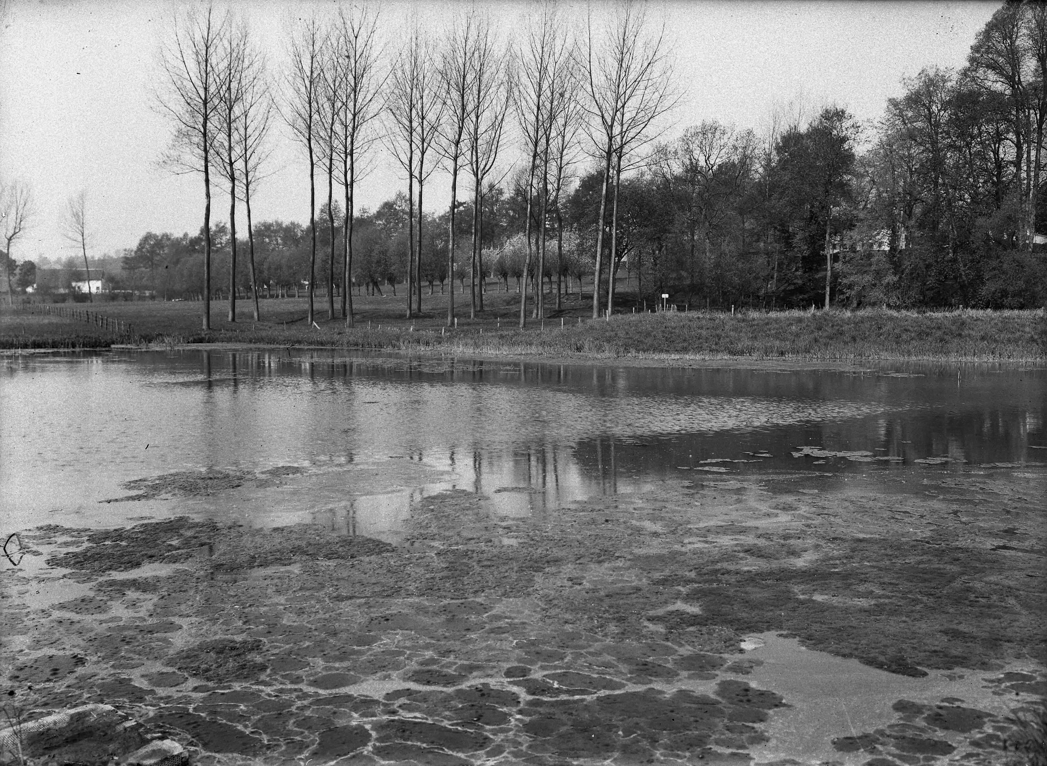 Fotocollectie Nederlandse Heidemaatschappij — Instroomvijver te Gulpen — Foto: Fotograaf Onbekend / Heidemij. Licentie: Set B: Rechtenvrij / Publiek Domein. Bron: Nationaal Archief. http://hdl.handle.net/10648/ae7c3ca4-d0b4-102d-bcf8-003048976d84