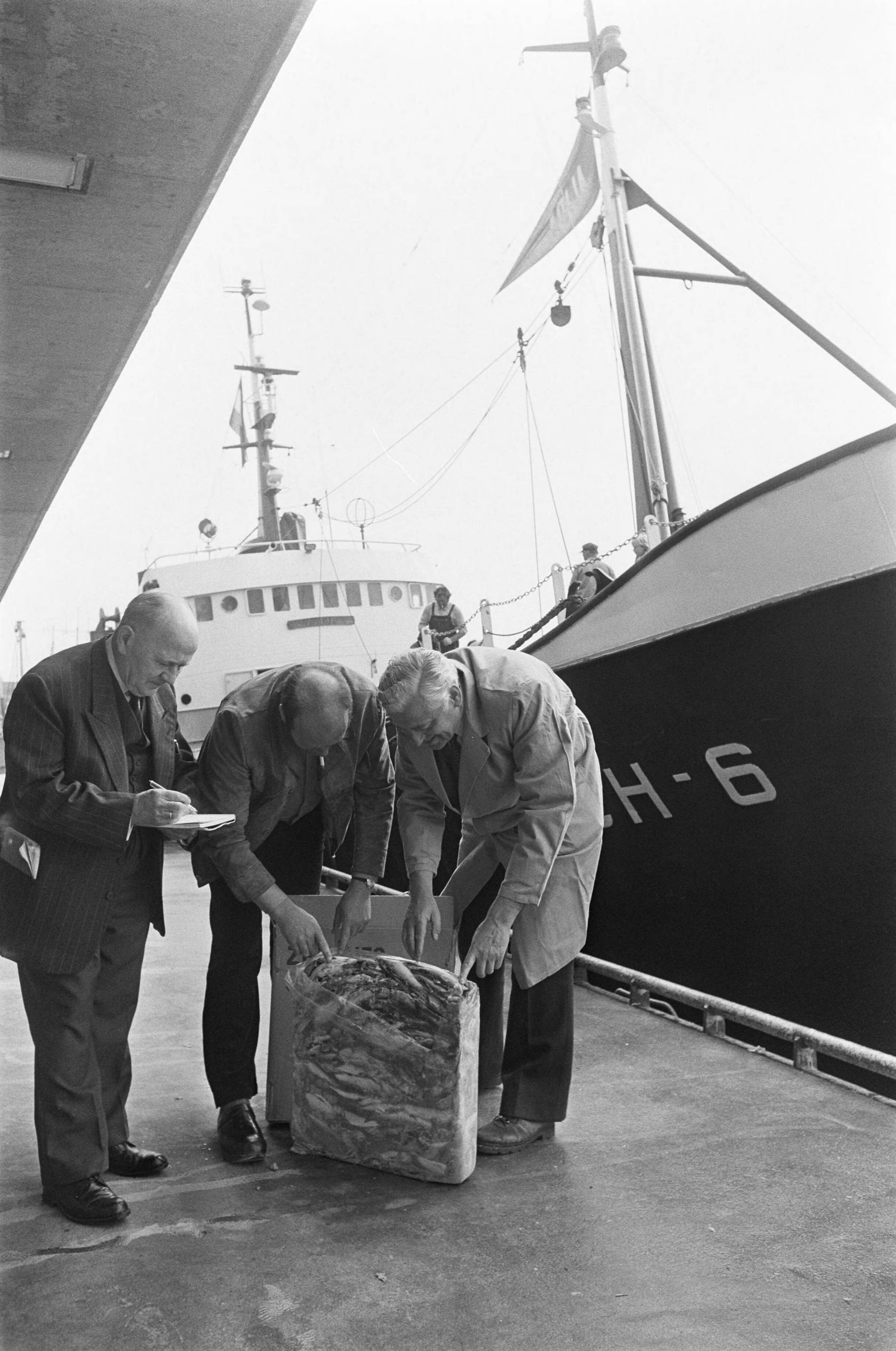 Fotocollectie Anefo — Eerste nieuwe haring, het proeven van de haring bij visafslag te Scheveningen — Foto: Verhoeff, Bert / Anefo. Licentie: Set B: Rechtenvrij / Publiek Domein. Bron: Nationaal Archief. http://hdl.handle.net/10648/ac844392-d0b4-102d-bcf8-003048976d84