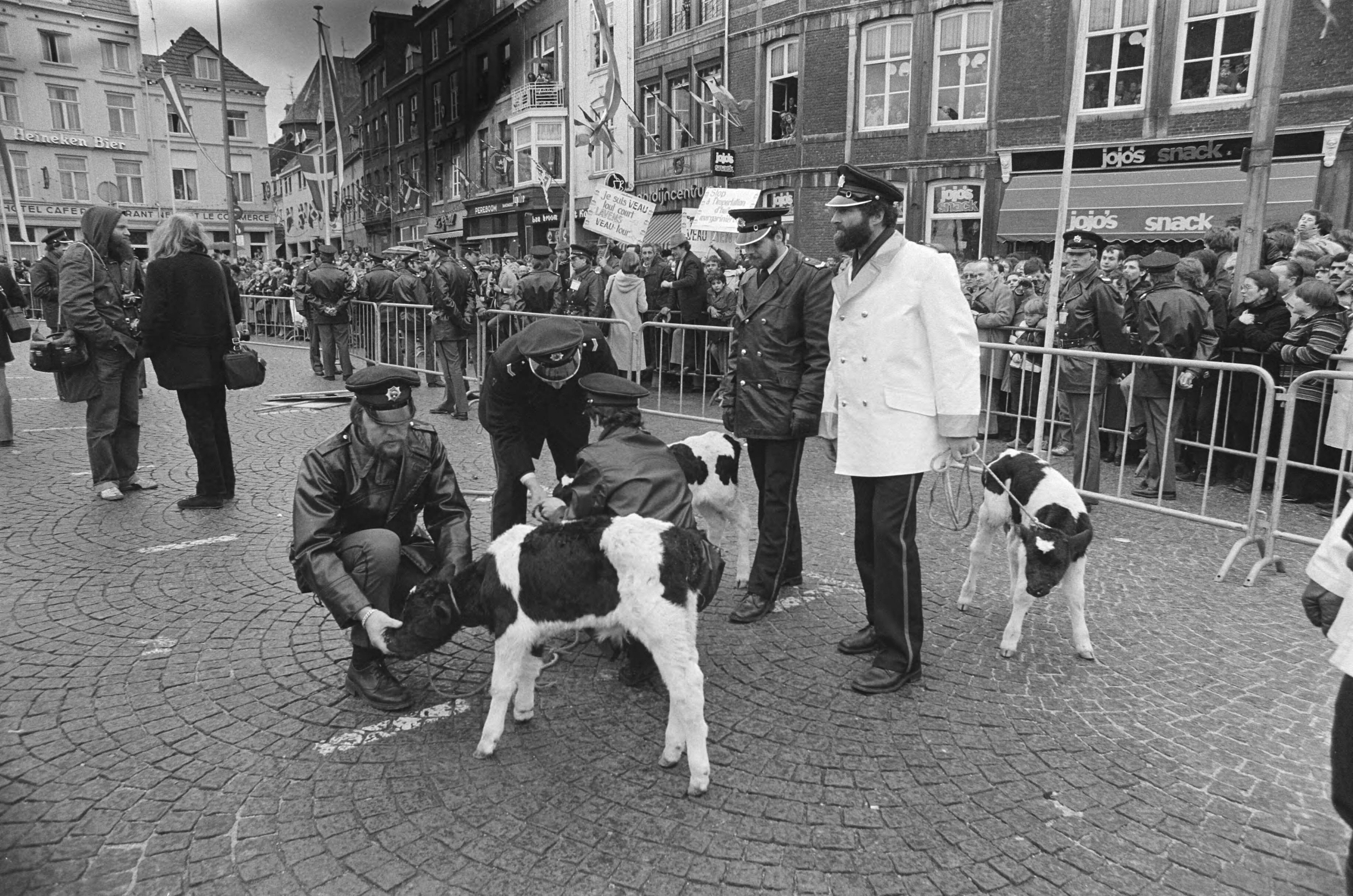 Fotocollectie Anefo — Europese Raad in Maastricht, demonstrerende Waalse boeren gooiden kalveren binnen de afzetting, waarna de politie zich over hen ontfermde — Foto: Croes, Rob C. / Anefo. Licentie: Set B: Rechtenvrij / Publiek Domein. Bron: Nationaal Archief. http://hdl.handle.net/10648/acf7baac-d0b4-102d-bcf8-003048976d84