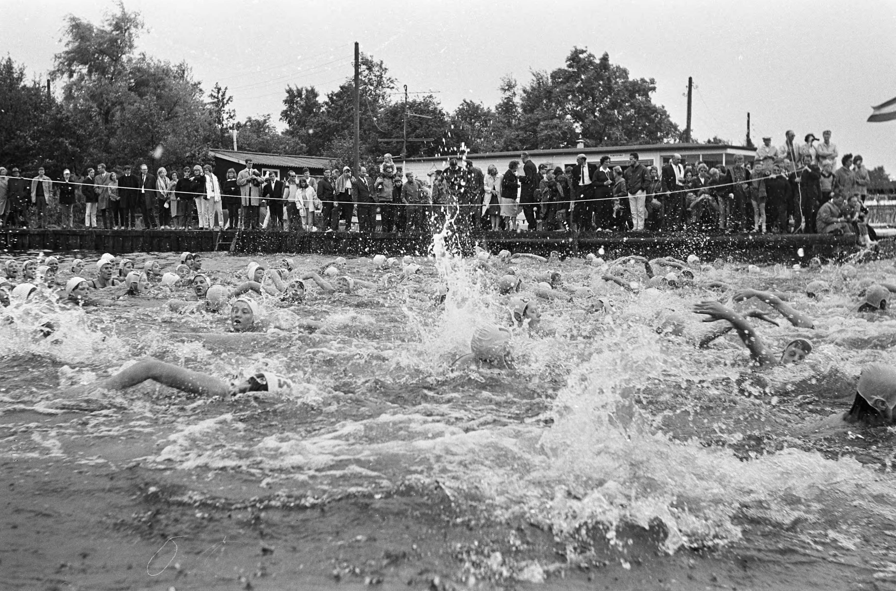 Fotocollectie Anefo — Twee kilometer zwemwedstrijd Loosdrechtseplassen bij Kortenhoef, de start bij de vrije slag dames — Foto: Evers, Joost / Anefo. Licentie: Set B: Rechtenvrij / Publiek Domein. Bron: Nationaal Archief. http://hdl.handle.net/10648/aaacd3fe-d0b4-102d-bcf8-003048976d84