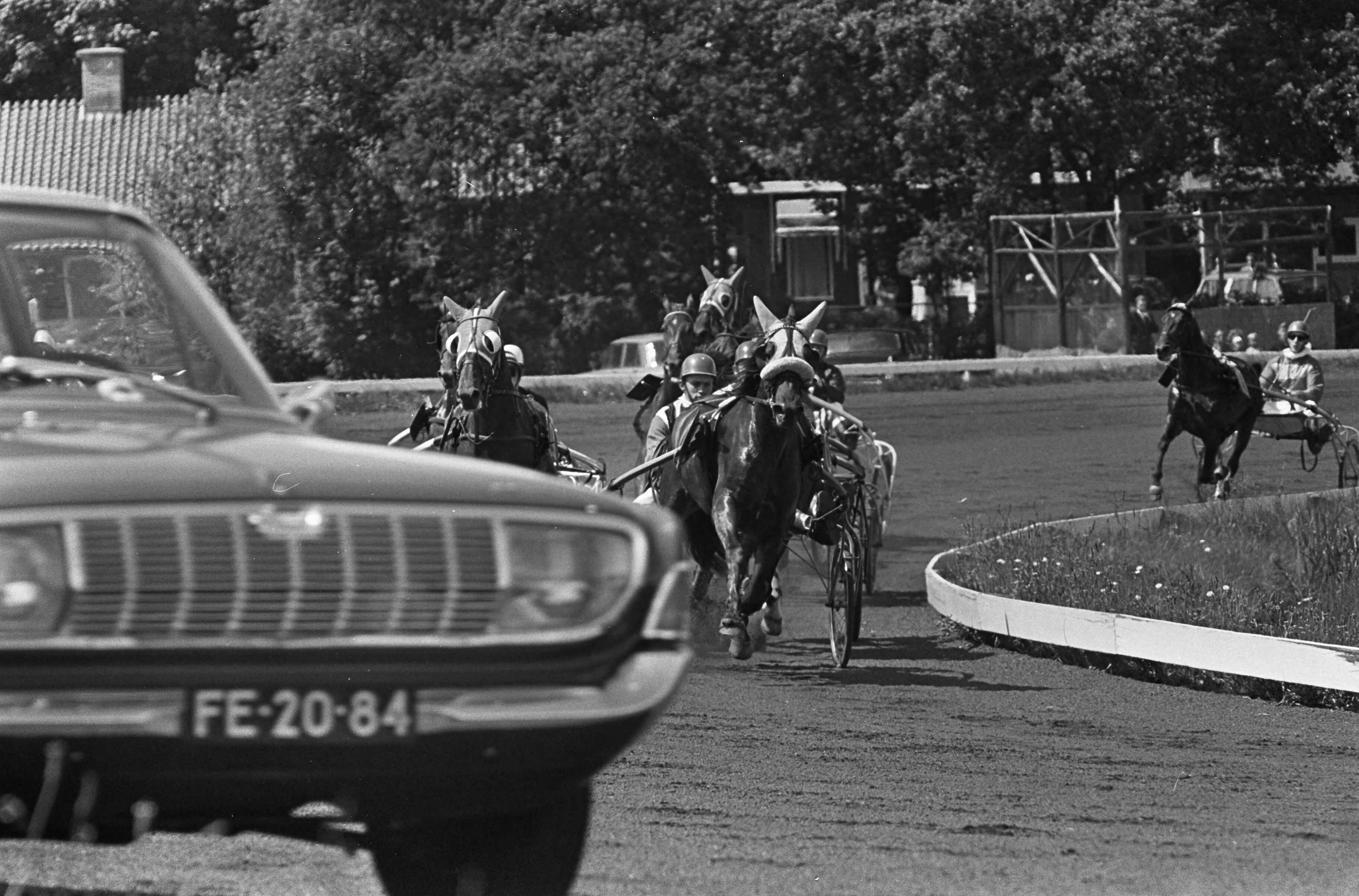 Fotocollectie Anefo — Duindigt, paardenkoersen, zes paarden in de strijd voor de Rock Crystal Prijs — Foto: Koch, Eric / Anefo. Licentie: Set B: Rechtenvrij / Publiek Domein. Bron: Nationaal Archief. http://hdl.handle.net/10648/aab21bfc-d0b4-102d-bcf8-003048976d84