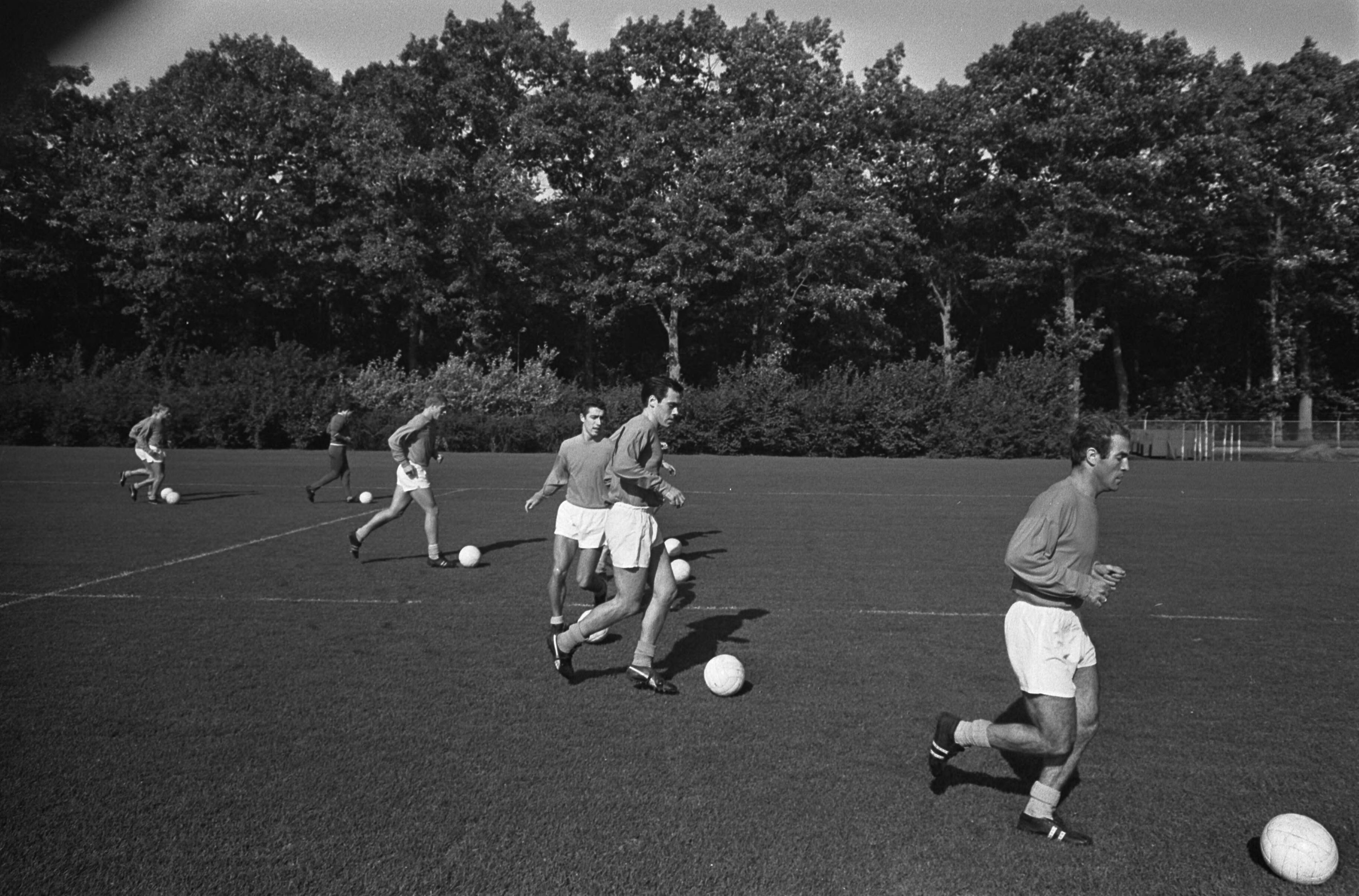 Fotocollectie Anefo — Training Nederlands elftal te Zeist. Training — Foto: Nijs, Jac. de / Anefo. Licentie: Set B: Rechtenvrij / Publiek Domein. Bron: Nationaal Archief. http://hdl.handle.net/10648/ab289408-d0b4-102d-bcf8-003048976d84