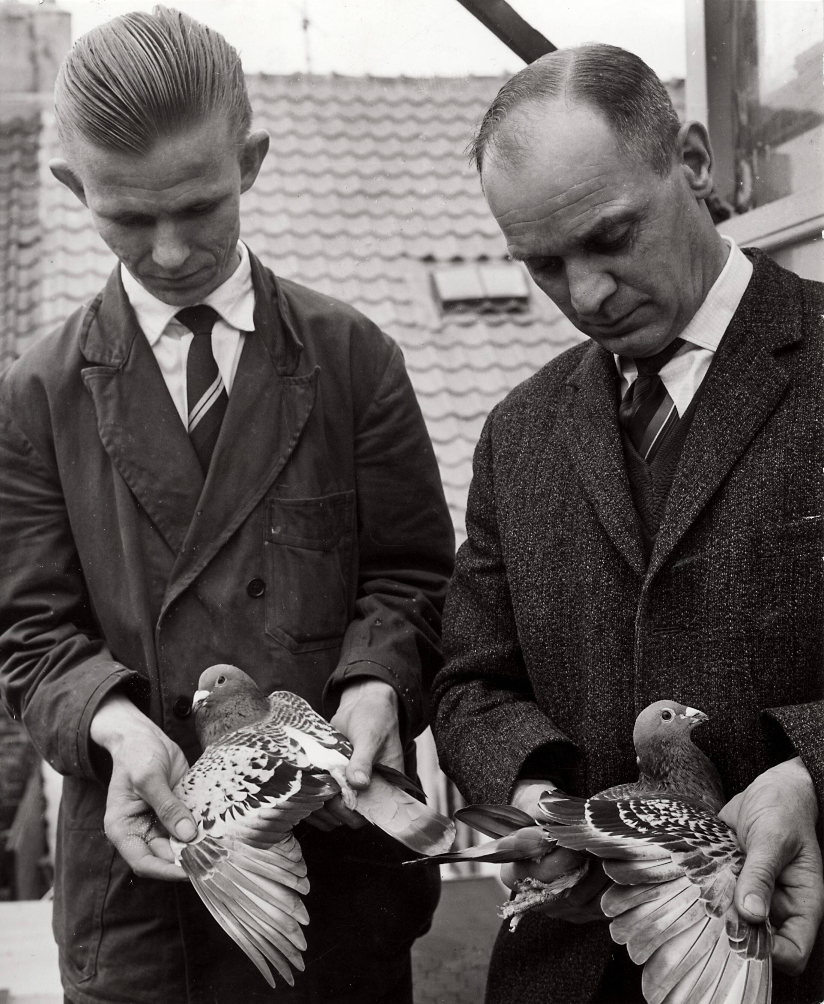Collectie nader te bepalen — Drukkerij N.V. De Spaarnestad. Vrijetijdsbesteding personeel, 1965 — Foto: Fotograaf Onbekend / Fotobureau onbekend / Spaarnestad Photo (05887). Licentie: Set B: Rechtenvrij / Publiek Domein. Bron: Nationaal Archief. http://hdl.handle.net/10648/35429da6-3e5f-a382-e063-6df0900a6686