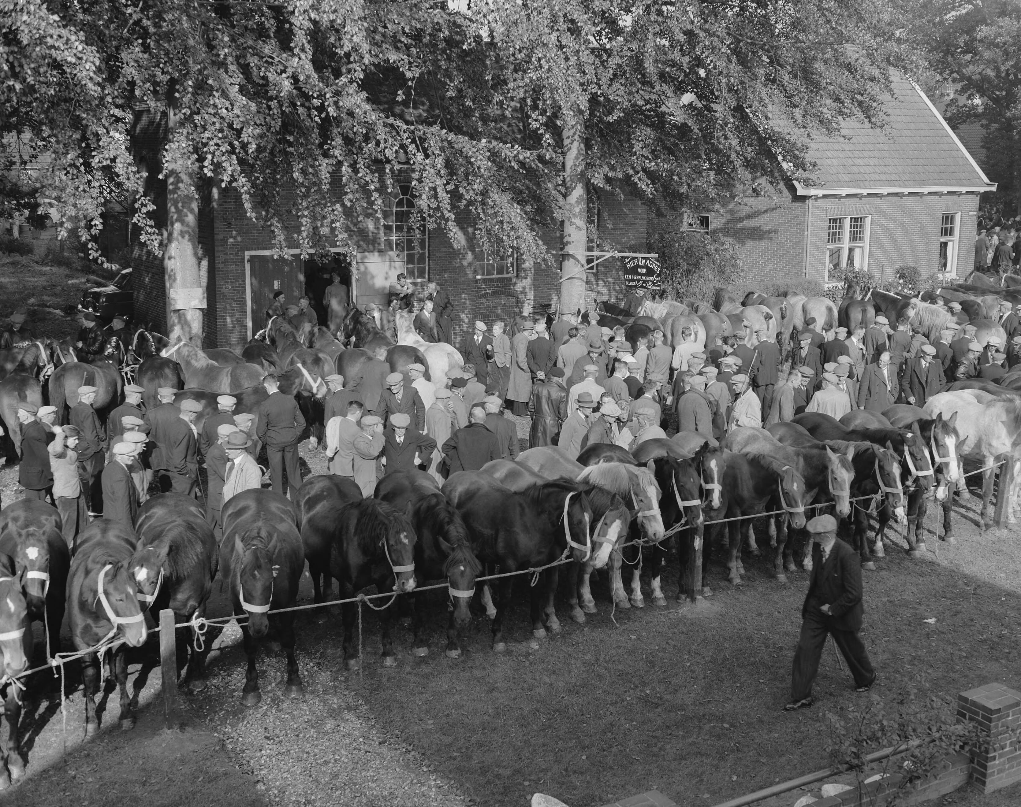 Fotocollectie Anefo — Zuidlaarder paardenmarkt — Foto: Rossem, Wim van / Anefo. Licentie: Set B: Rechtenvrij / Publiek Domein. Bron: Nationaal Archief. http://hdl.handle.net/10648/a950f5d0-d0b4-102d-bcf8-003048976d84