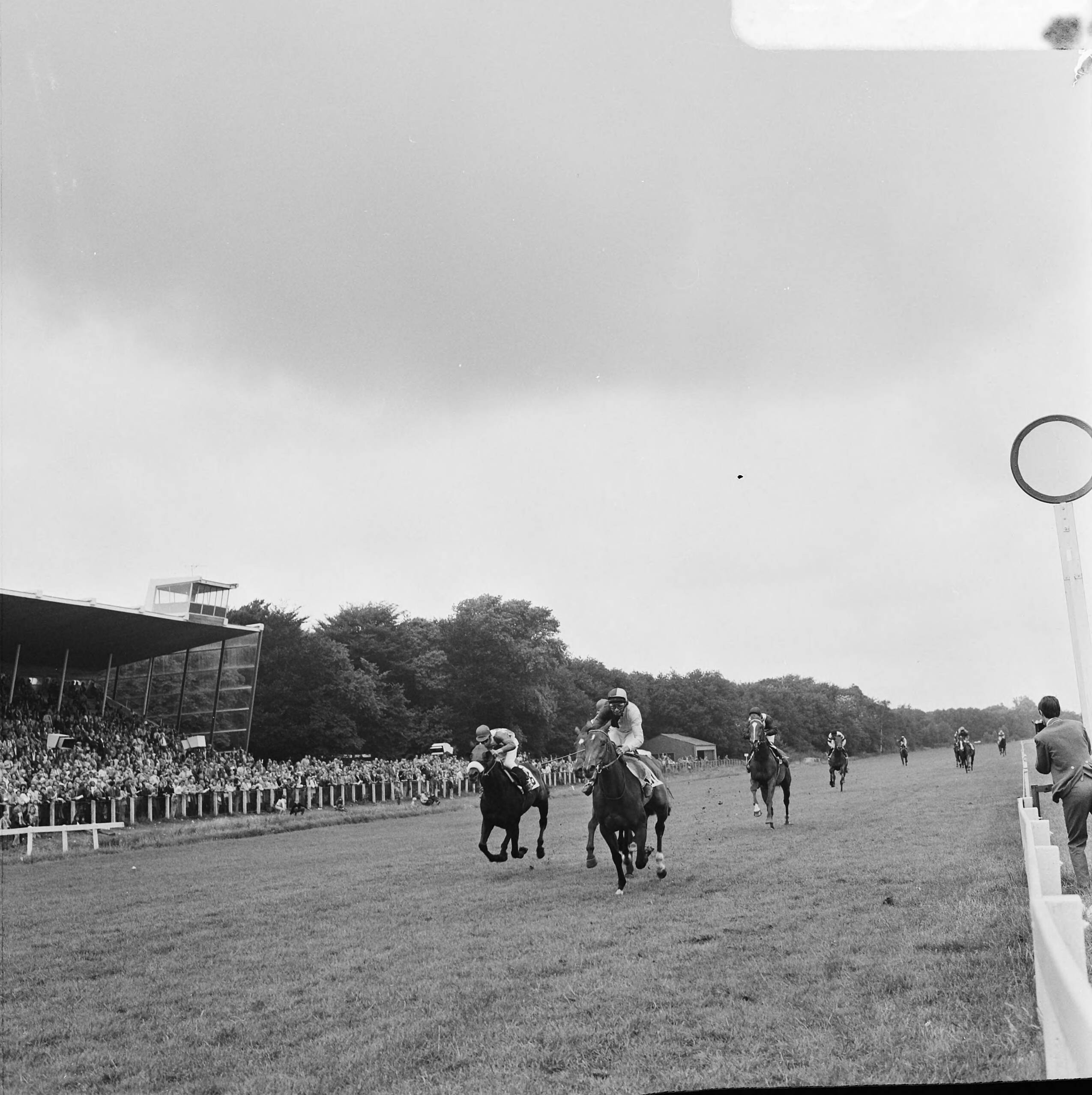 Fotocollectie Anefo — Derby op Duindigt, Queen of Roses S met berijder R. Wetemans gaat als winnaar over de finish — Foto: Mieremet, Rob / Anefo. Licentie: Set B: Rechtenvrij / Publiek Domein. Bron: Nationaal Archief. http://hdl.handle.net/10648/ac323886-d0b4-102d-bcf8-003048976d84