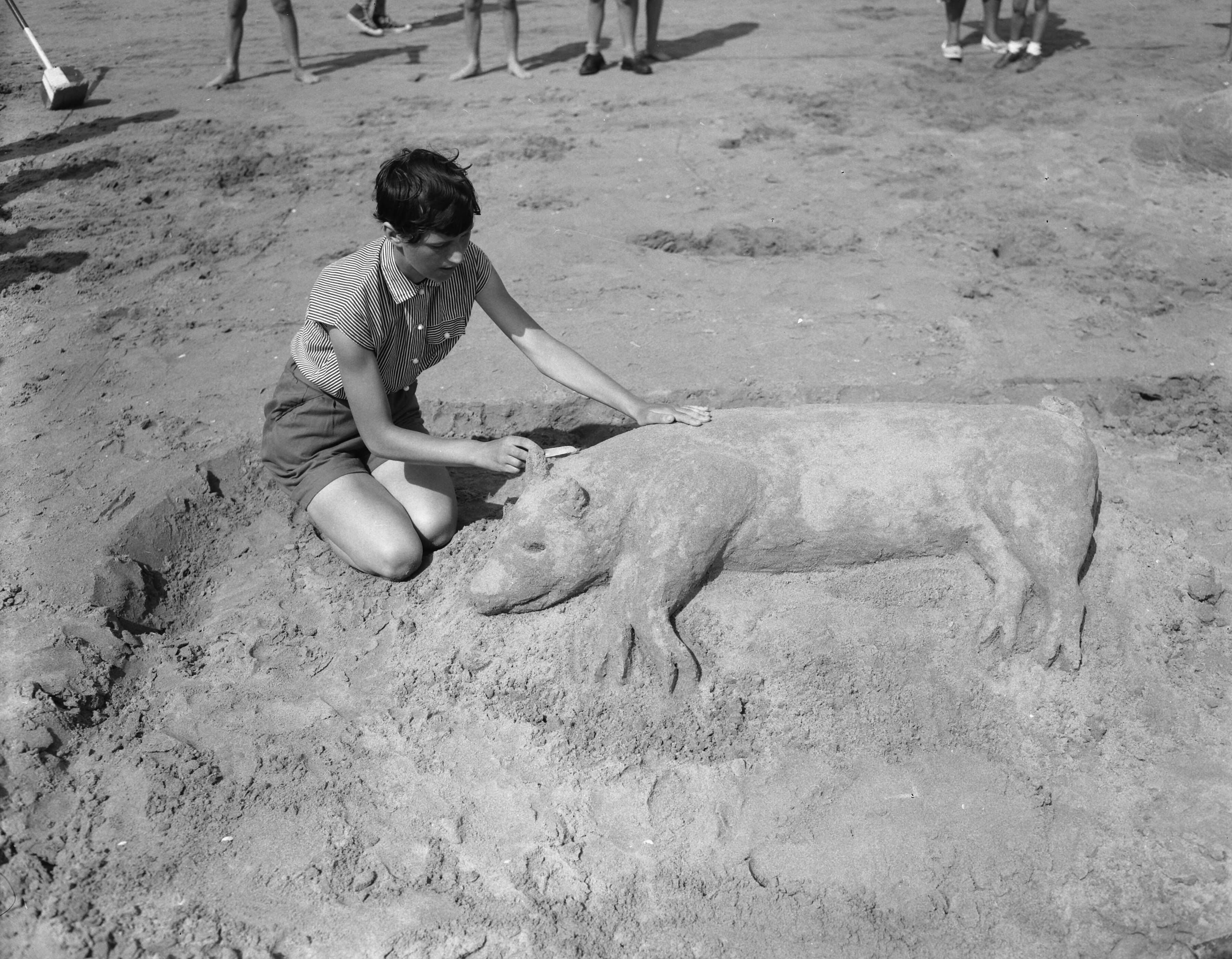 Fotocollectie Anefo — Zandbouwwedstrijd Zandvoort, een varken, winnaar 1e prijs — Foto: Noske, J.D. / Anefo. Licentie: Set B: Rechtenvrij / Publiek Domein. Bron: Nationaal Archief. http://hdl.handle.net/10648/a9396ab4-d0b4-102d-bcf8-003048976d84