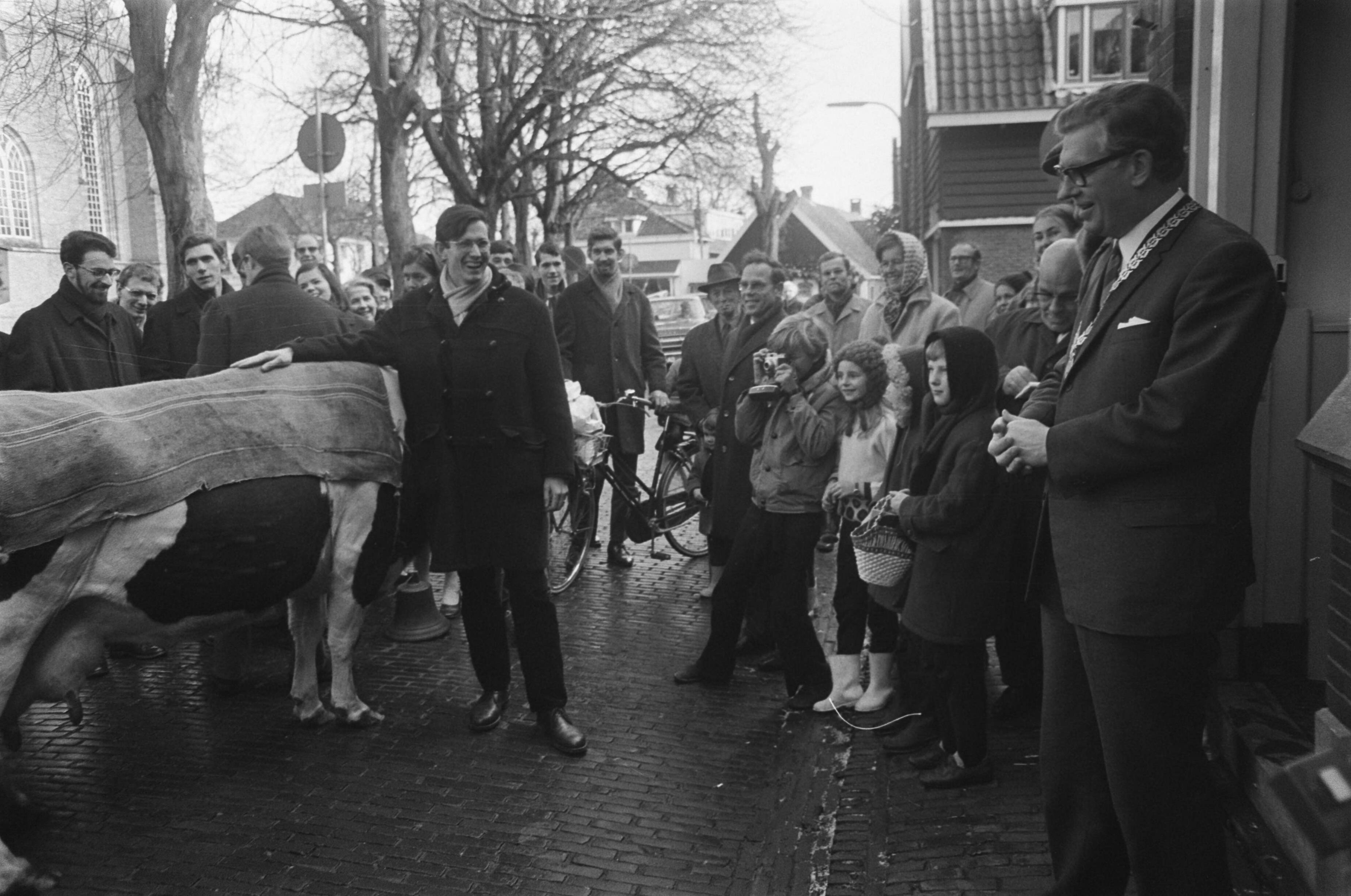 Fotocollectie Anefo — Achttiende Tournee van Nederlandse Studenten Orkest onder leiding van Jan Brussen . Intocht van NSO met een koe in Bergen — Foto: Mieremet, Rob / Anefo. Licentie: Set B: Rechtenvrij / Publiek Domein. Bron: Nationaal Archief. http://hdl.handle.net/10648/ab87ae66-d0b4-102d-bcf8-003048976d84