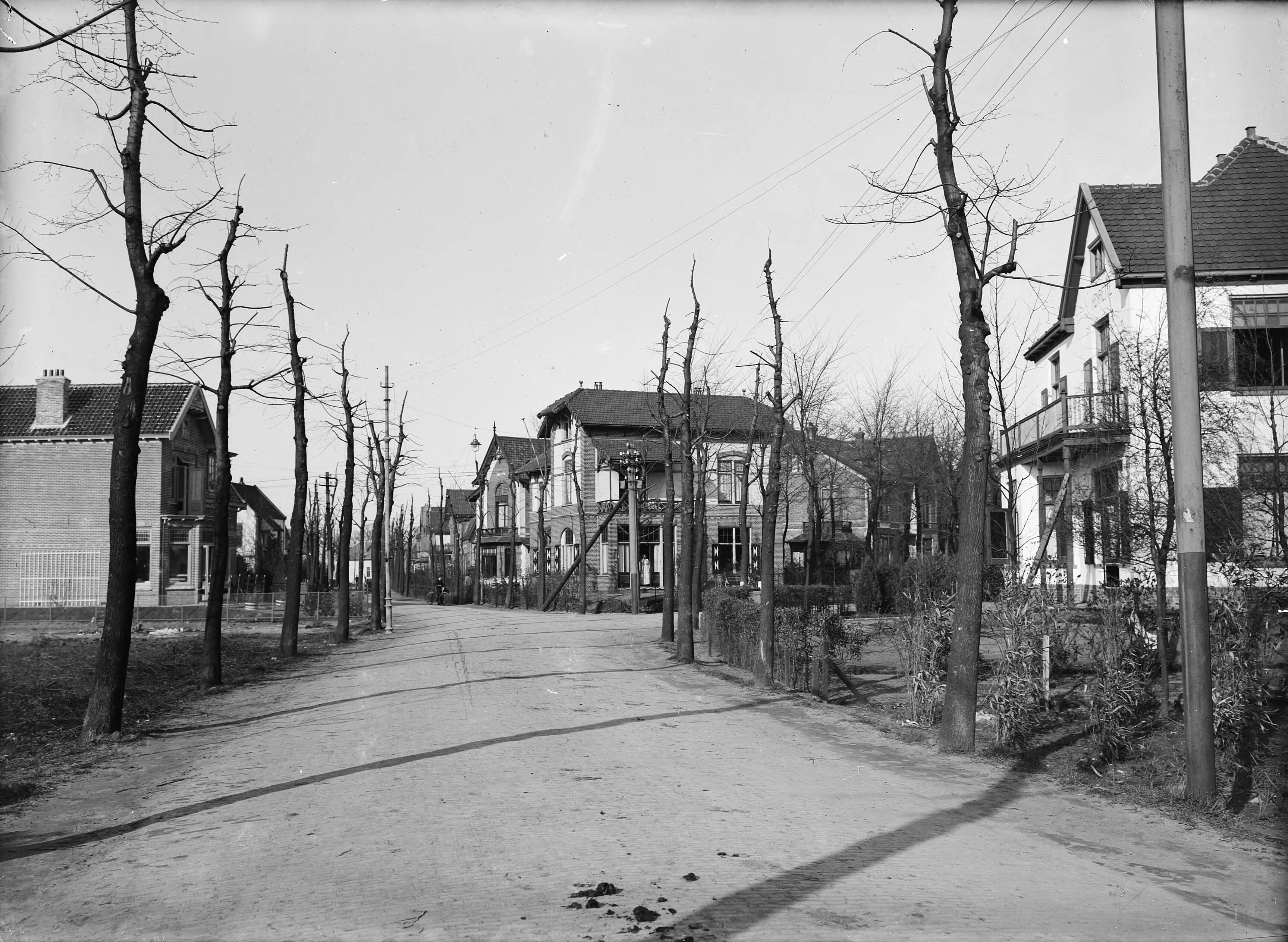 Fotocollectie Nederlandse Heidemaatschappij — Slecht gesnoeide bomen Bussum — Foto: Fotograaf Onbekend / Heidemij. Licentie: Set B: Rechtenvrij / Publiek Domein. Bron: Nationaal Archief. http://hdl.handle.net/10648/ae7cf504-d0b4-102d-bcf8-003048976d84