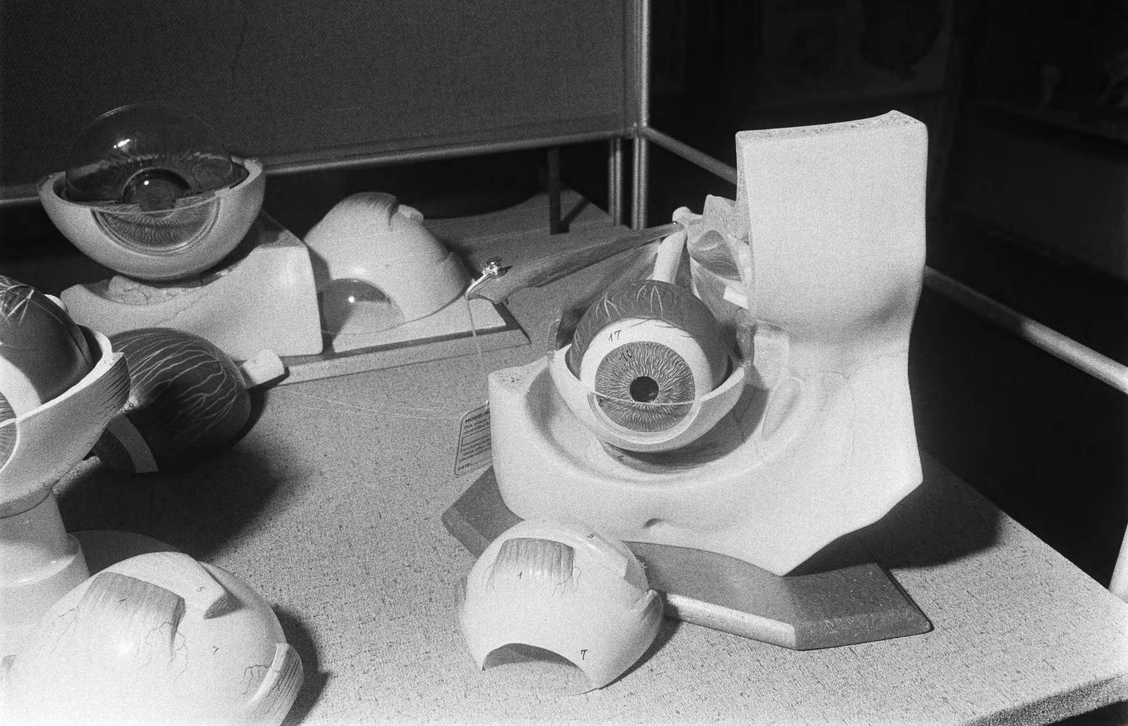 Fotocollectie Anefo — Tentoonstelling "Medira 1969" in Julianahal Utrecht. — Foto: Mieremet, Rob / Anefo. Licentie: Set B: Rechtenvrij / Publiek Domein. Bron: Nationaal Archief. http://hdl.handle.net/10648/ab7c2ac8-d0b4-102d-bcf8-003048976d84