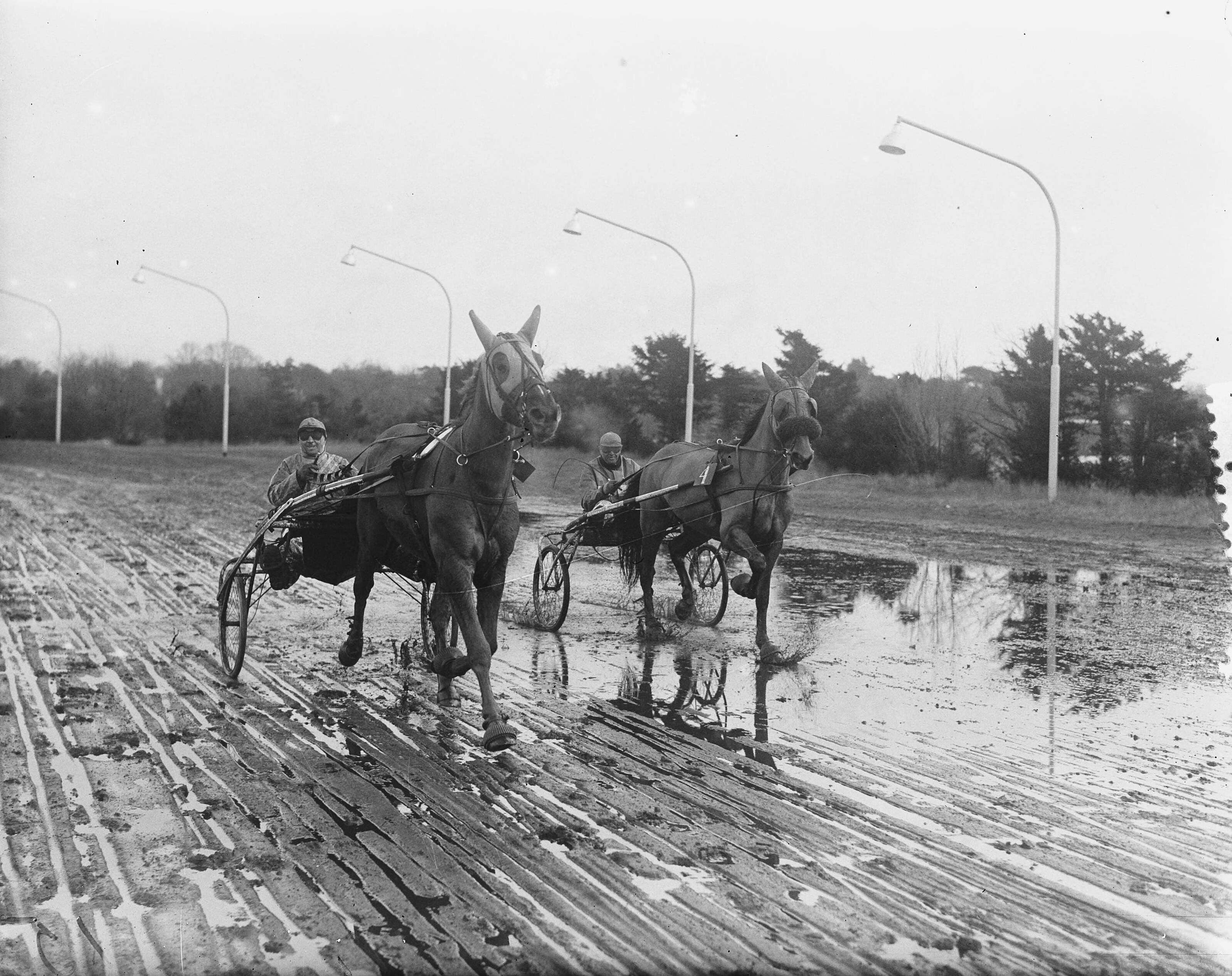Fotocollectie Anefo — Draverijen Hilversum — Foto: Duinen, H. van / Anefo. Licentie: Set B: Rechtenvrij / Publiek Domein. Bron: Nationaal Archief. http://hdl.handle.net/10648/a91b0600-d0b4-102d-bcf8-003048976d84