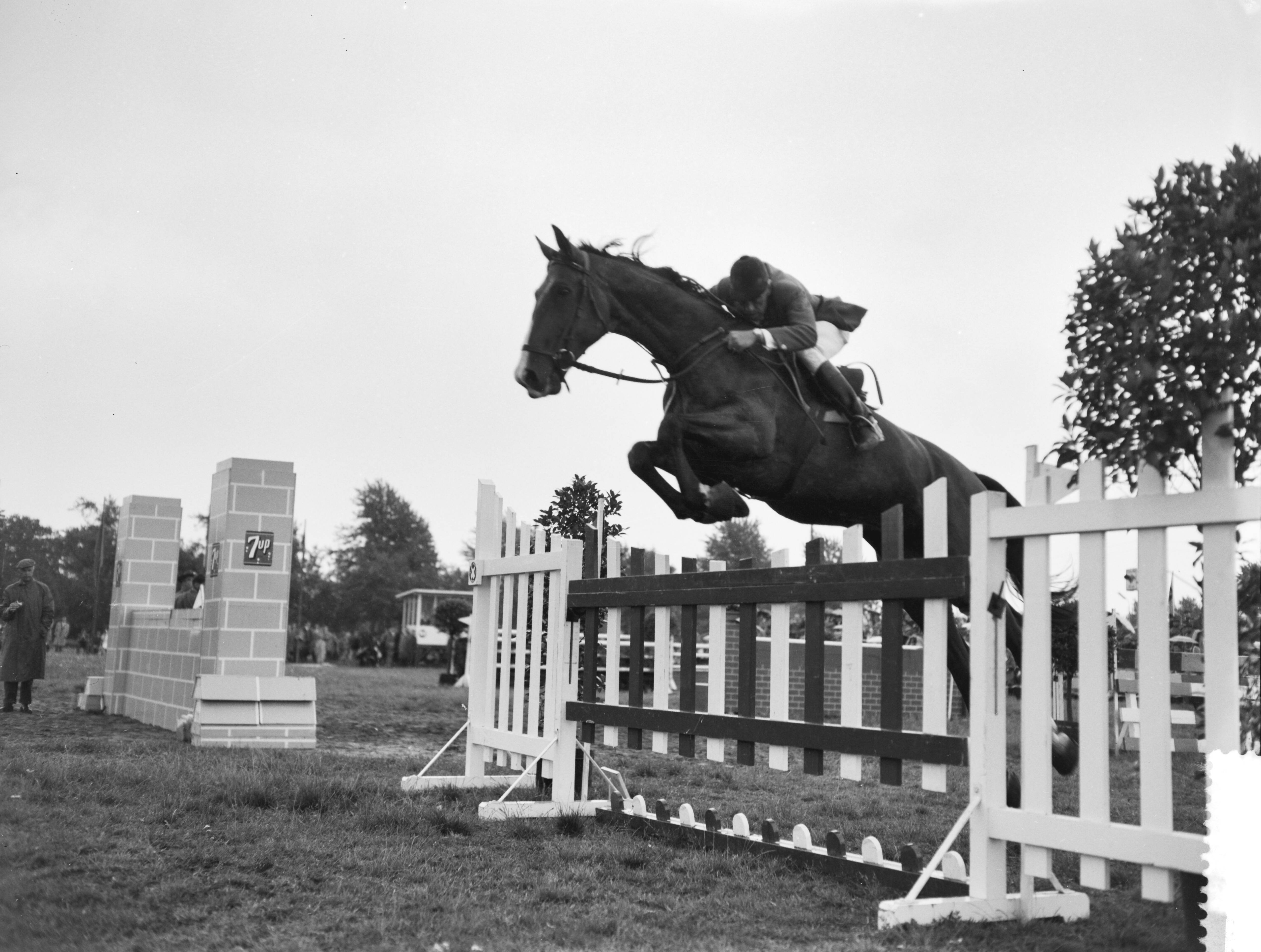 Fotocollectie Anefo — Concours Hippique te Breda — Foto: Rossem, Wim van / Anefo. Licentie: Set B: Rechtenvrij / Publiek Domein. Bron: Nationaal Archief. http://hdl.handle.net/10648/a9b5a23c-d0b4-102d-bcf8-003048976d84