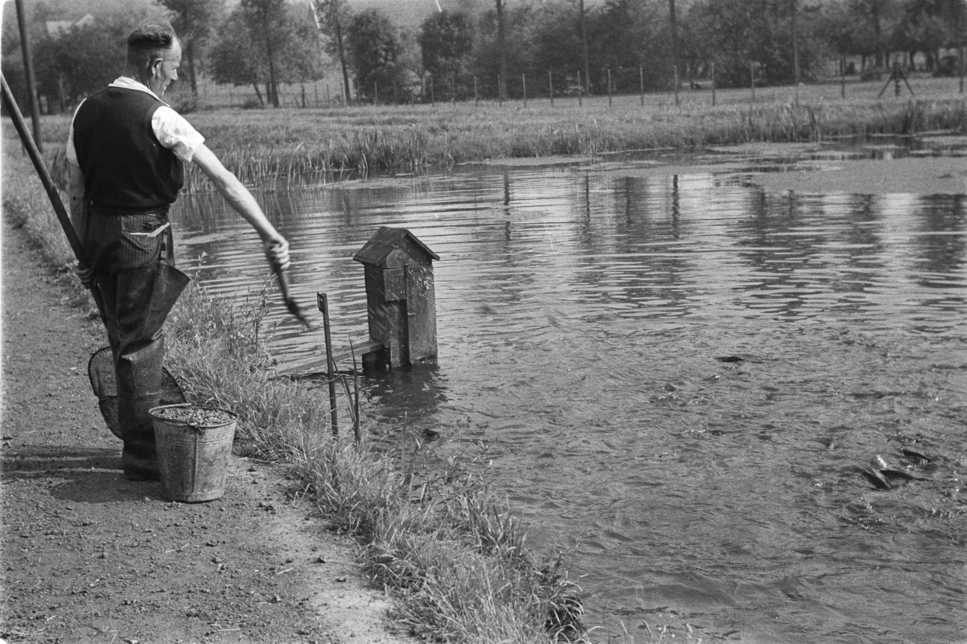 Fotocollectie Nederlandse Heidemaatschappij — Gulpen|visserij |viskwekerijen |forellenvijvers — Foto: Fotograaf Onbekend / Heidemij. Licentie: Set B: Rechtenvrij / Publiek Domein. Bron: Nationaal Archief. http://hdl.handle.net/10648/ae89f2d6-d0b4-102d-bcf8-003048976d84