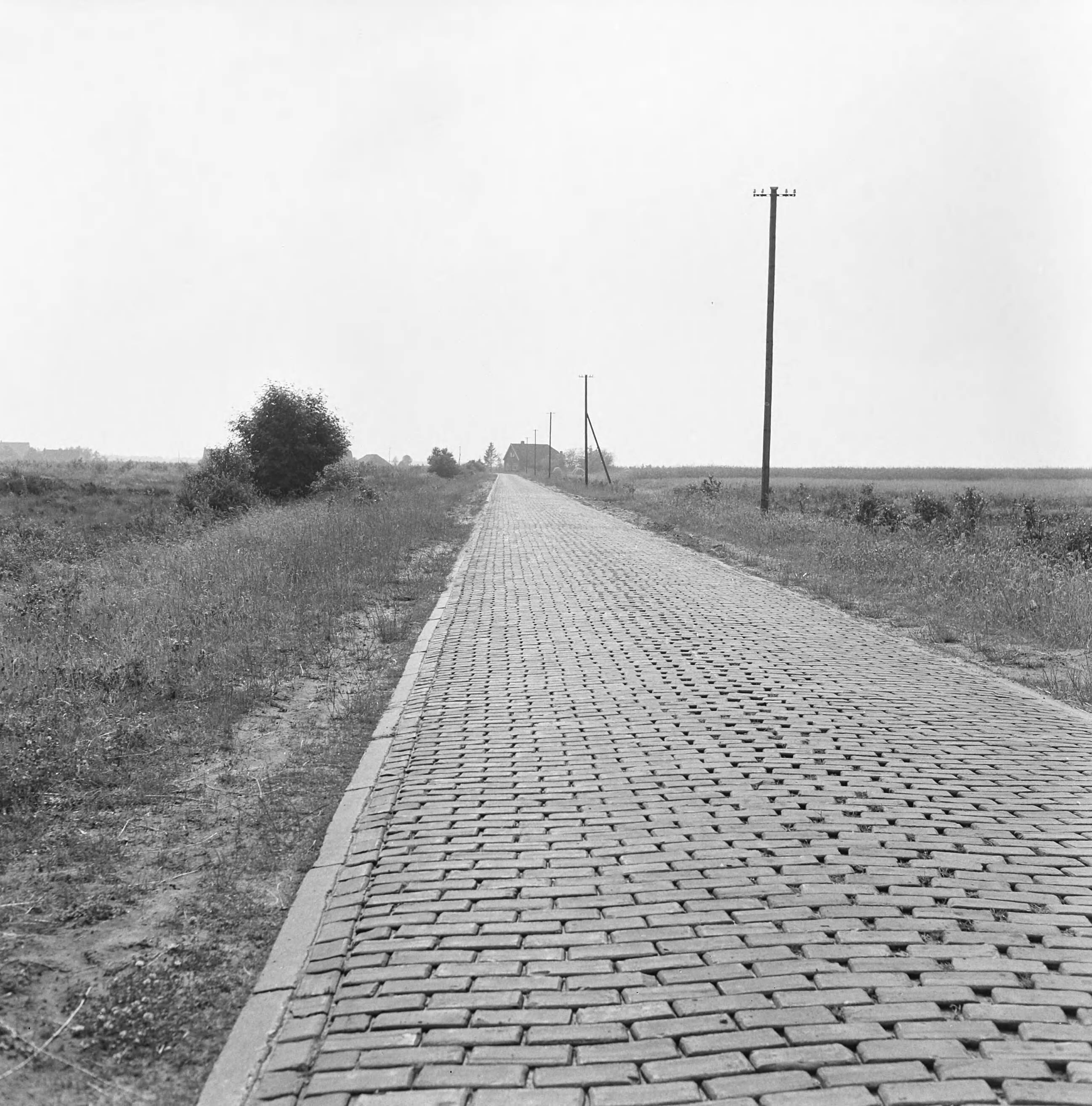 Fotocollectie Nederlandse Heidemaatschappij — Weg langs recreatieoord te Sellingen (Gr.) — Foto: Eyssen, [...] / Heidemij. Licentie: Set B: Rechtenvrij / Publiek Domein. Bron: Nationaal Archief. http://hdl.handle.net/10648/ae7b77ce-d0b4-102d-bcf8-003048976d84