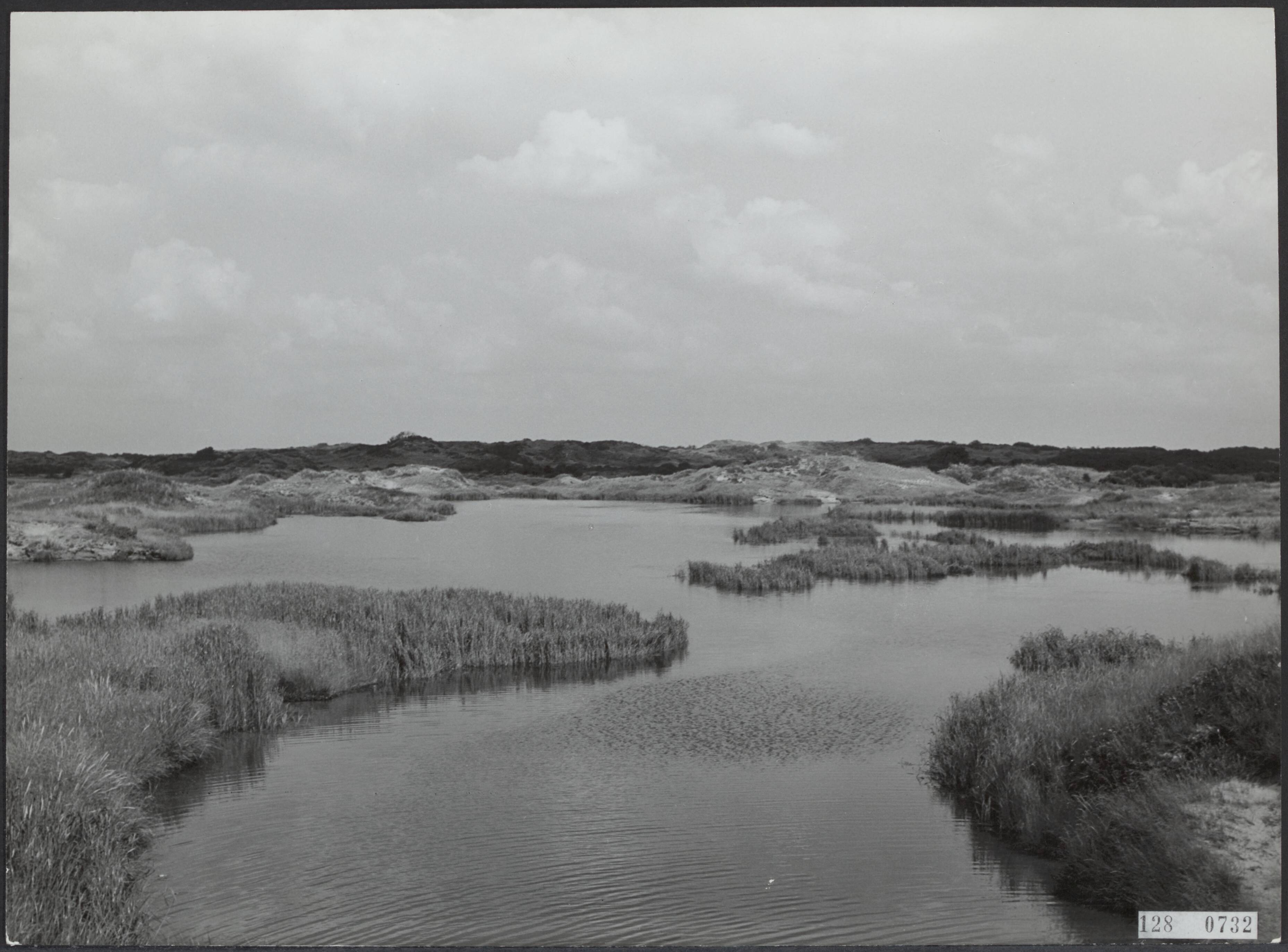 Landschappen, duinen [RVD] — Duimeertje [Duinwaterleiding Den Haag] — Foto: Fotodienst Gemeente Den Haag. Licentie: Set B: Rechtenvrij / Publiek Domein. Bron: Nationaal Archief. http://hdl.handle.net/10648/af43a712-d0b4-102d-bcf8-003048976d84