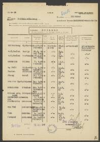 Adrianus van der  Ryst