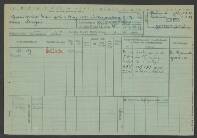 Adriana J. Groeneveld