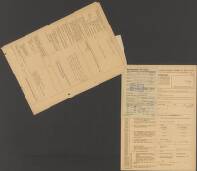 Wilb. ??. ?? ten Have