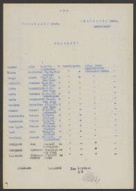 Johannes Marcus Ruijgrok