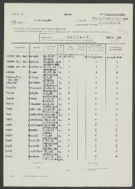 Mintje van der Sluis