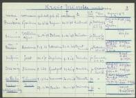 Wilhelm Alfred Braamer