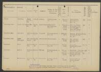 Dirk Nelis van Gemeren