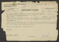 Robert van den Abele