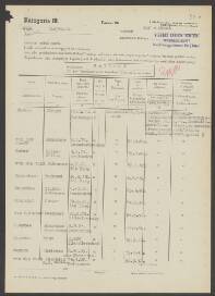 Johannes van der Werff