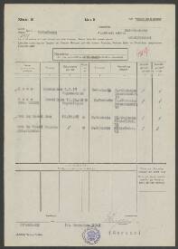 Anneliese Roos-Simon