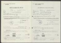 Levinus Johannes Willems