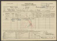 Nicolaas Petrus Maria Maas