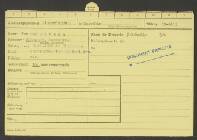 Johannes Lambertus van den Boomen