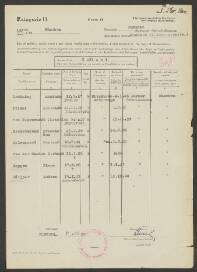 Christian van Gogswaardt