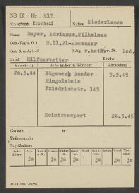 Adrianus Wilhelmus Bayer