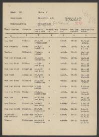 Mintje van der  Sluis