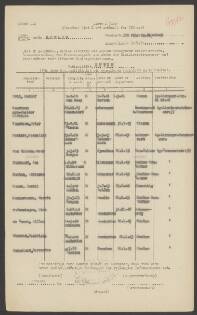 Elfriede Voorboom - Mueller