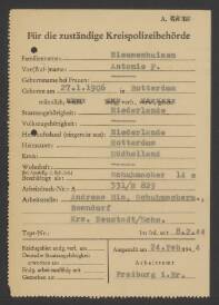 Antonie P. Nieuwenhuizen