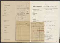 Aleida Frederika Zijlemaker-Huisman