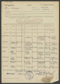 Anna Maria Sofia Roelvink