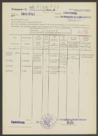 Josefa Snyder geb. Bocka